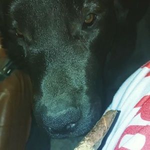 Meet your Posher, Aiden